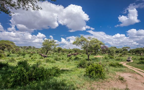 Willkommen in... Tansania!