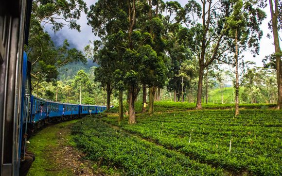 Willkommen in... Sri Lanka!