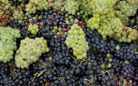 Ihre Reise im Überblick