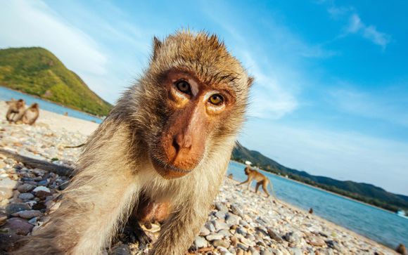 Ihre Ausflugsoptionen