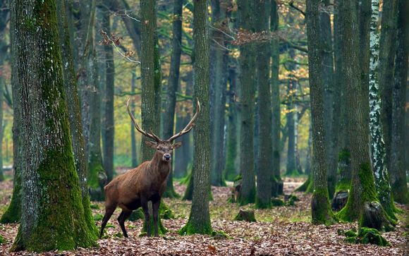 Ihr Freizeit- und Wellnessangebot