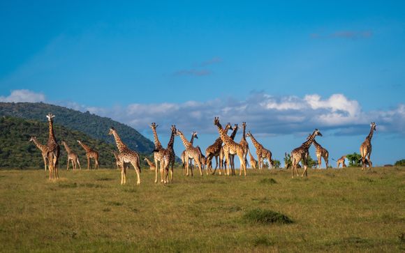 Tu itinerario durante el safari