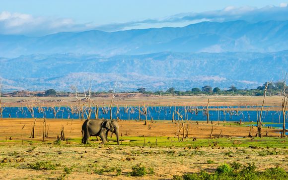 ¡Completa tu estancia!