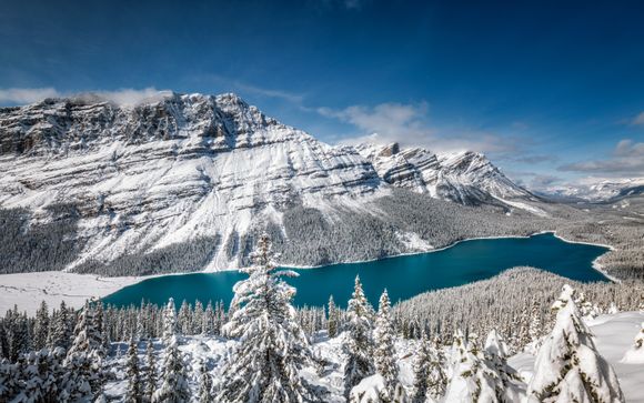 ¡Completa tu estancia!