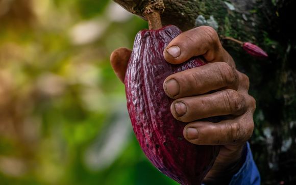 ¡Completa tu estancia!