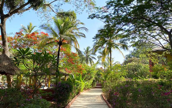 African Village Bougainvillées