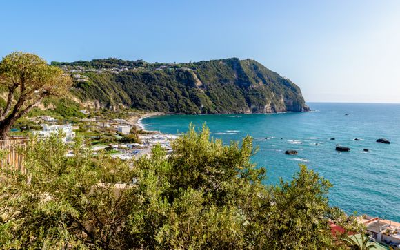 Tus actividades incluidas