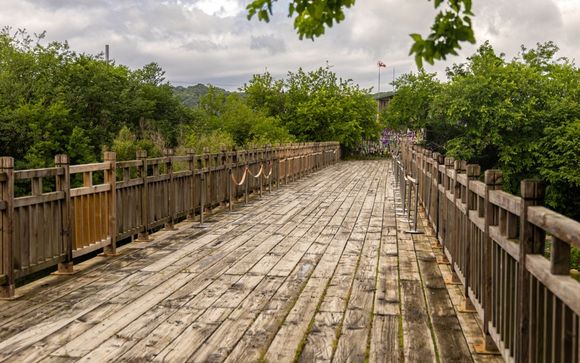 ¡Completa tu estancia!