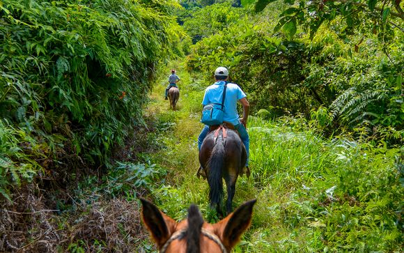 ¡Completa tu estancia!