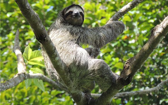 Tu circuito en Costa Rica