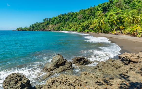 ¡Completa tu estancia!