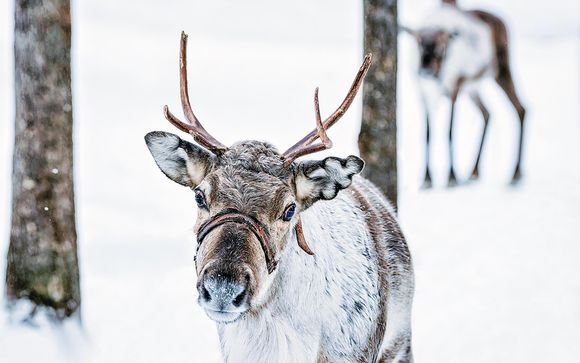 ¡Completa tu estancia!