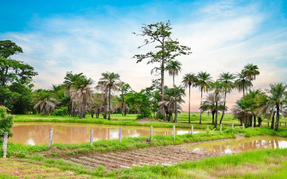 ¡Completa tu estancia!