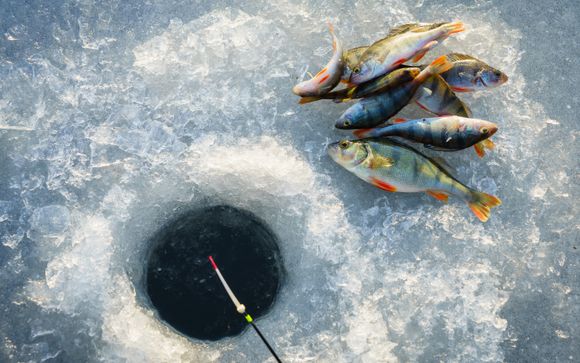 ¡Completa tu estancia! 