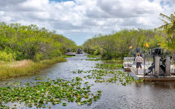 Excursión por los Everglades a bordo de un hidrodeslizador (a partir de 5 noches)