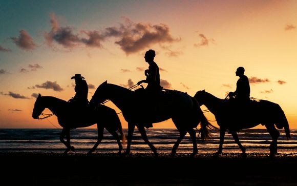 ¡Completa tu estancia!