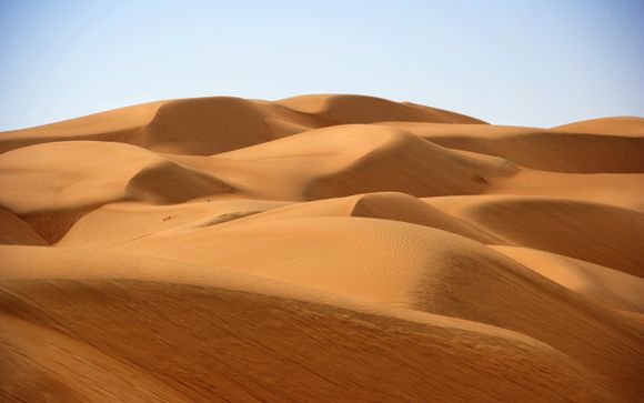 Tus opciones incluidas