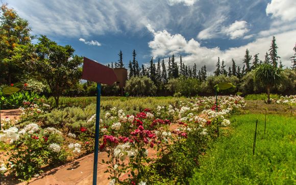 Estancia de 5 noches