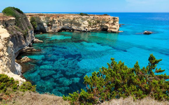 Tu actividad incluida 