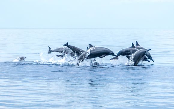 ¡Completa tu estancia!