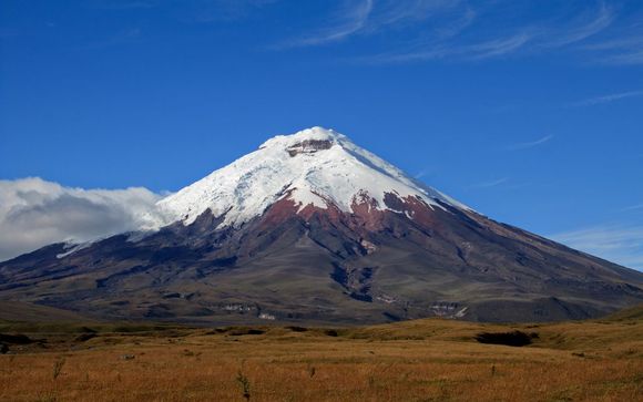 Tu itinerario