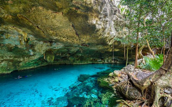 ¡Tus actividades incluidas!