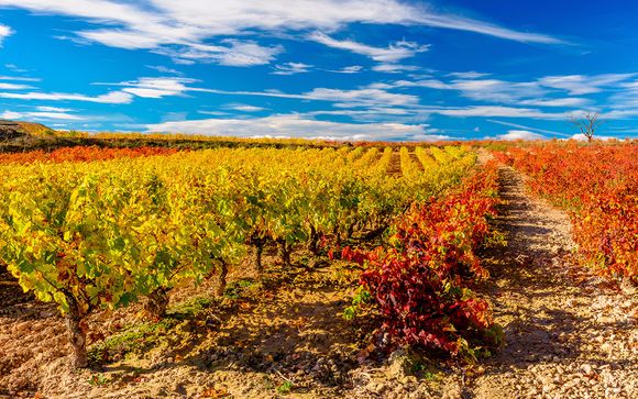 Briñas, en La Rioja, te espera