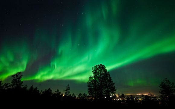 Tu actividad incluida