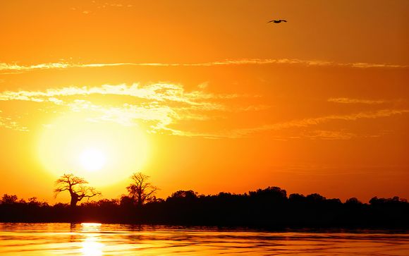 Tour privado por el sur de Gambia en 7 o 10 noches