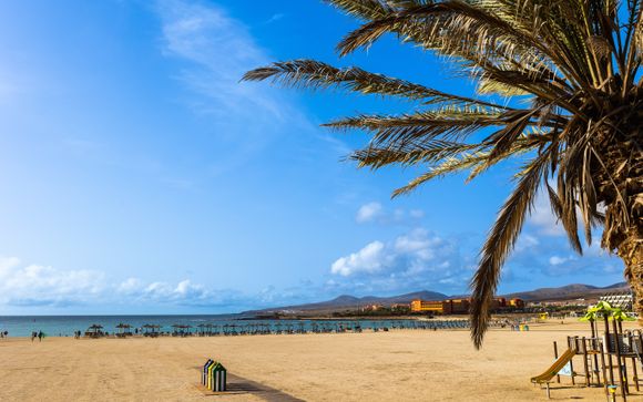 Caleta de Fuste, en Fuerteventura, te espera
