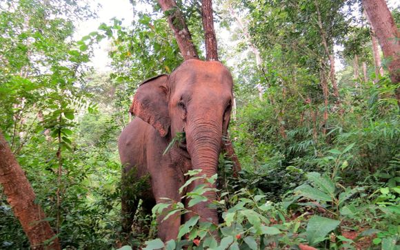 ¡Completa tu estancia!