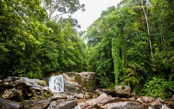 ¡Completa tu estancia!