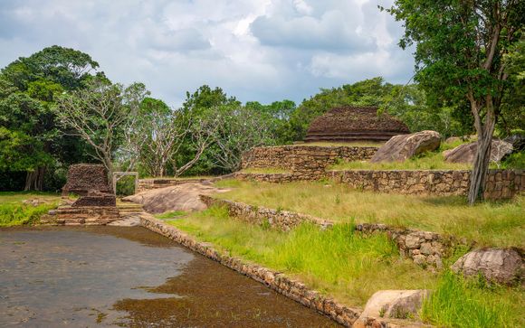 ¡Completa tu estancia!