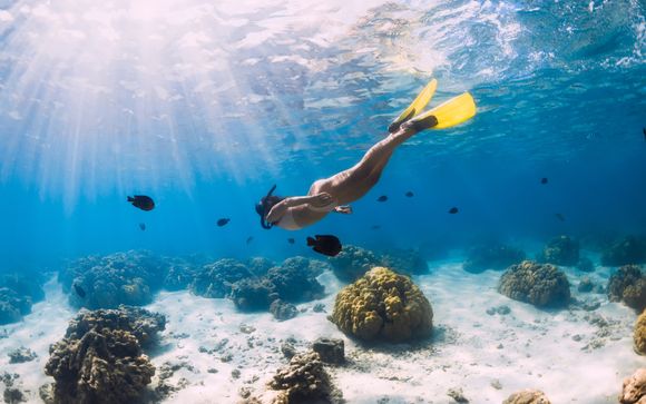 ¡Completa tu estancia!