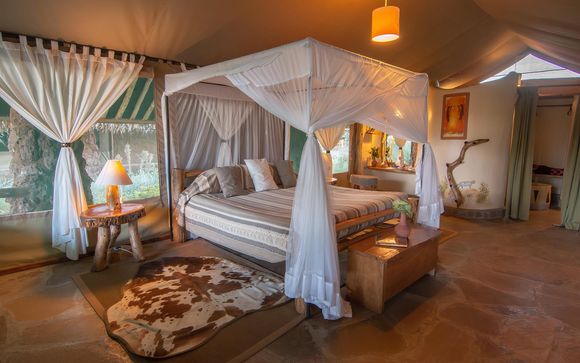 Para tu confort durante el safari