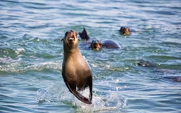 ¡Completa tu estancia! 