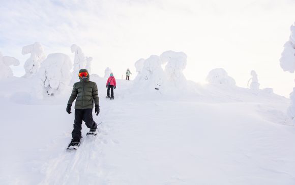 Tus excursiones incluidas