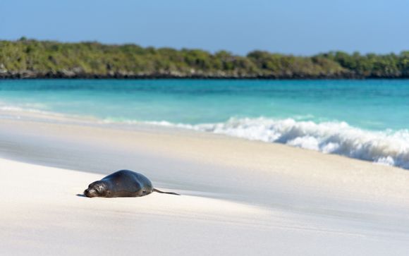 Ecuador Galápagos a bordo del Crucero Legend en 7 noches