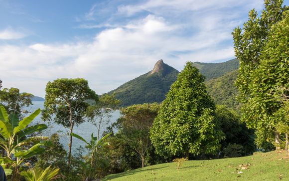 Tu actividad incluida