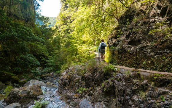 ¡Completa tu estancia!