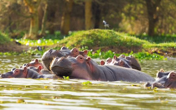 Tu itinerario durante el safari
