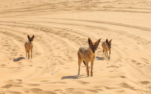 ¡Completa tu estancia!