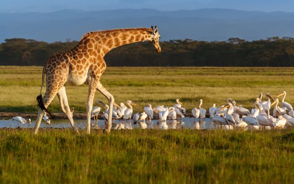 Tu itinerario de viaje
