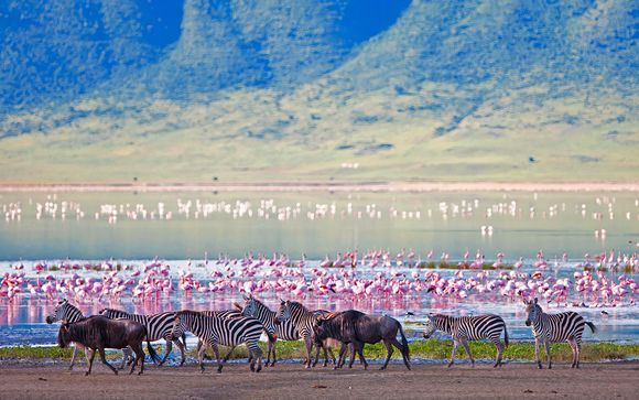 Tu itinerario durante el safari