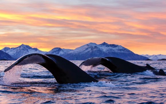 ¡Completa tu estancia!