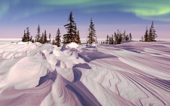 Tu itinerario de viaje