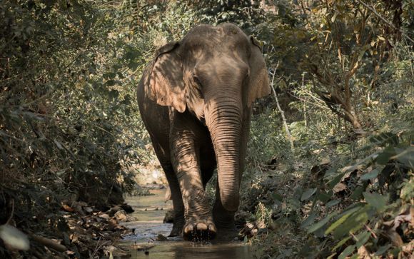 ¡Completa tu estancia!