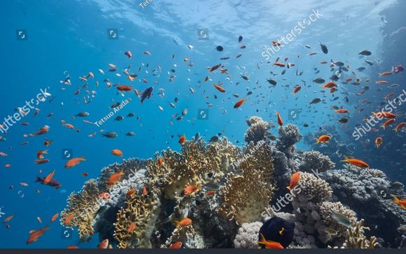 ¡Completa tu estancia!