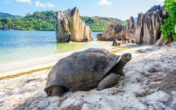Tu itinerario durante el crucero