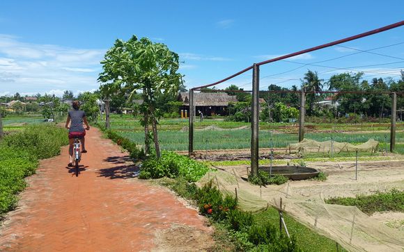 ¡Completa tu estancia!